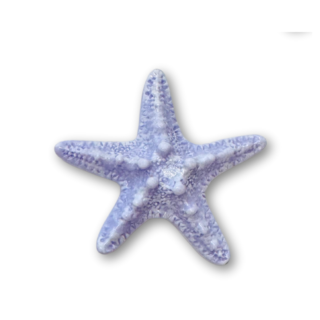 ♡ Starfish | Large ♡