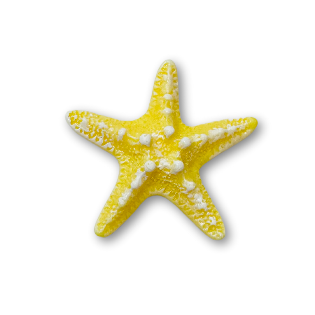 ♡ Starfish | Large ♡