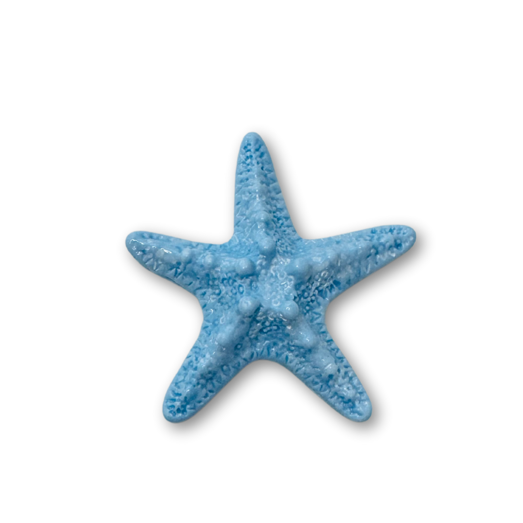 ♡ Starfish | Large ♡