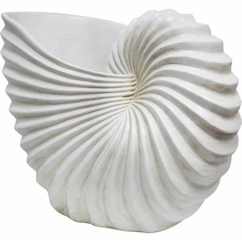 Dish - Ridged Shell