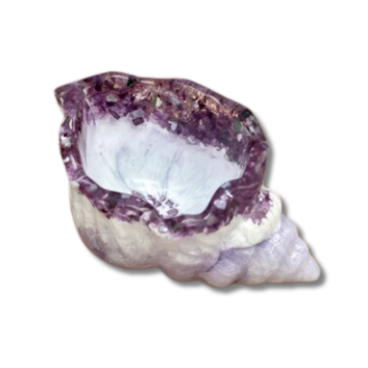 Dish - Shell